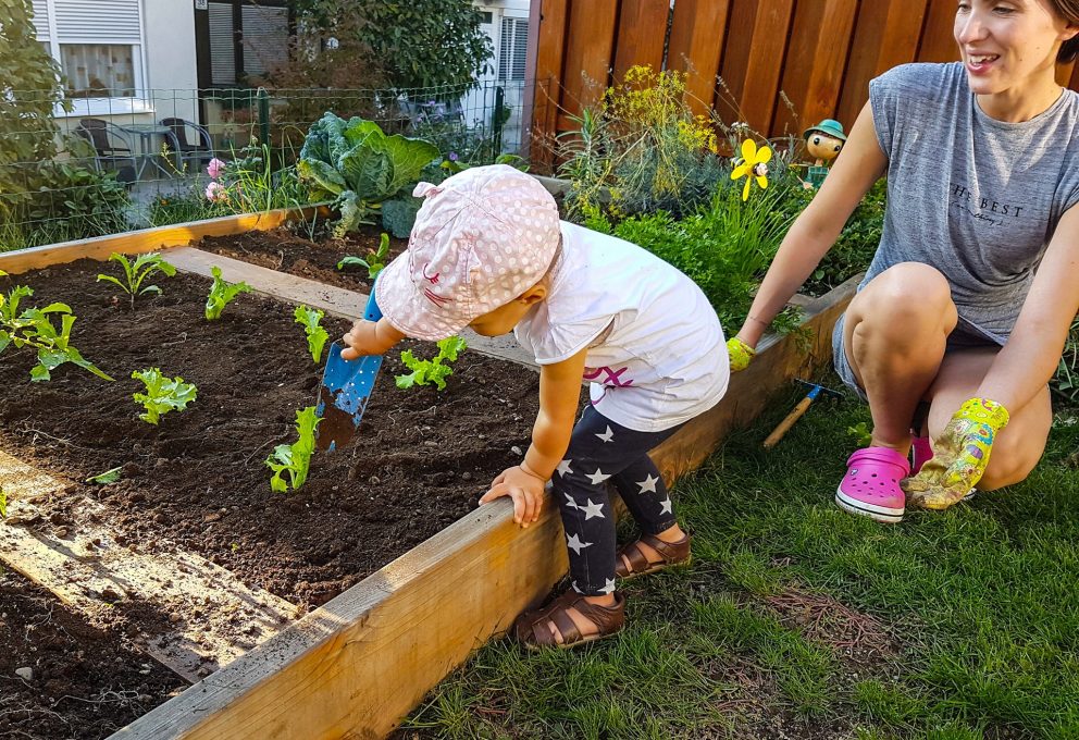 Sneg se topi, vrt se budi