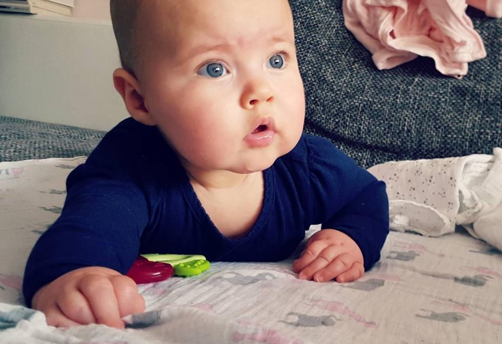 XXVIII. Zobna miška, odstrani se!